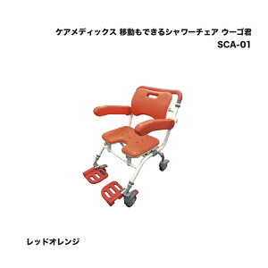 PAfBbNX ړłV[`FA E[SN bhIW SCA-01 1