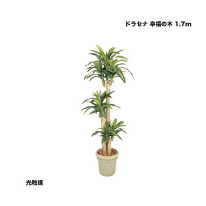 ^JV[ hZi K̖ 1.8m G} 1 ^ls