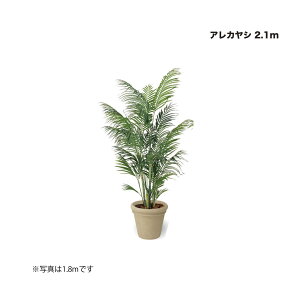 ^JV[ AJV 2.1m 1 ^ls