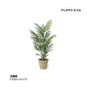 ^JV[ AJV 2.1m G} 1 ^ls