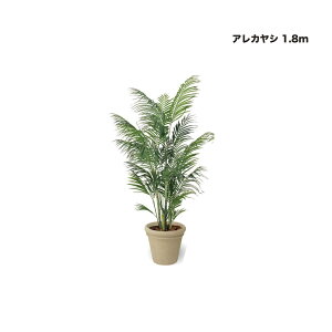 ^JV[ AJV 1.8m 1 ^ls