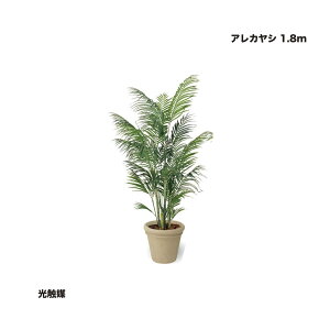 ^JV[ AJV 1.8m G} 1 ^ls