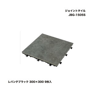 ^JV[ JBG-1505S WCg^C oeubN 300×300 9 ^ls