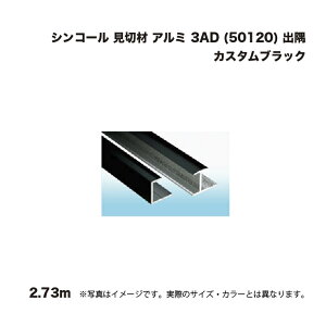 VR[ ؍ A~ 3AD (50120) o 2.73m JX^ubN