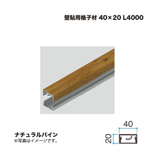 �^�J�V���[ �Ǔ\�p�i�q�� 40×20 L4000 �i�`�������p�C�� 1�{ �������^�l��s��