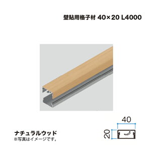 �^�J�V���[ �Ǔ\�p�i�q�� 40×20 L4000 �i�`�������E�b�h 1�{ �������^�l��s��