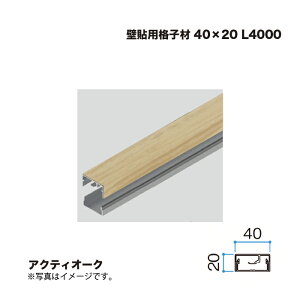 �^�J�V���[ �Ǔ\�p�i�q�� 40×20 L4000 �A�N�e�B�I�[�N 1�{ �������^�l��s��