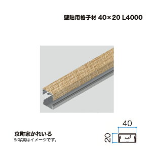 �^�J�V���[ �Ǔ\�p�i�q�� 40×20 L4000 �����Ƃ��ꂢ�� 1�{ �������^�l��s��