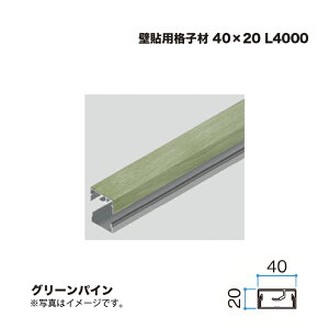 �^�J�V���[ �Ǔ\�p�i�q�� 40×20 L4000 �O���[���p�C�� 1�{ �������^�l��s��