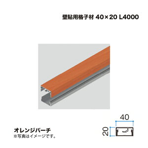 �^�J�V���[ �Ǔ\�p�i�q�� 40×20 L4000 �I�����W�o�[�` 1�{ �������^�l��s��