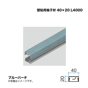 �^�J�V���[ �Ǔ\�p�i�q�� 40×20 L4000 �u���[�o�[�` 1�{ �������^�l��s��