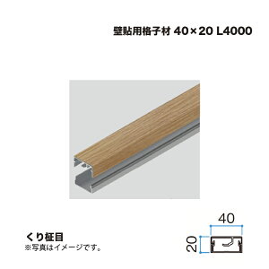 �^�J�V���[ �Ǔ\�p�i�q�� 40×20 L4000 ���薏�� 1�{ �������^�l��s��