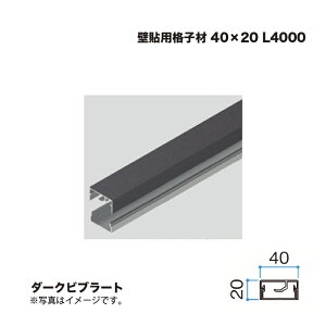 �^�J�V���[ �Ǔ\�p�i�q�� 40×20 L4000 �_�[�N�r�u���[�g 1�{ �������^�l��s��