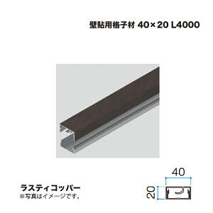 �^�J�V���[ �Ǔ\�p�i�q�� 40×20 L4000 ���X�e�B�R�b�p�[ 1�{ �������^�l��s��