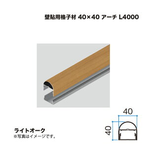 ^JV[ Ǔ\piq 40×40 A[` L4000 CgI[N 1{ ^ls