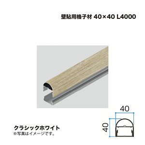 ^JV[ Ǔ\piq 40×40 A[` L4000 NVbNzCg 1{ ^ls