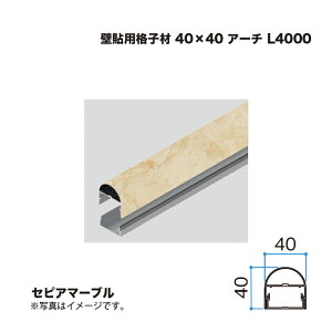 ^JV[ Ǔ\piq 40×40 A[` L4000 ZsA}[u 1{ ^ls