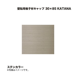^JV[ Ǔ\piqރLbv 30×85 KATANA XeJ[ 1