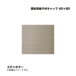 ^JV[ Ǔ\piqރLbv 40×80 XeJ[ 1