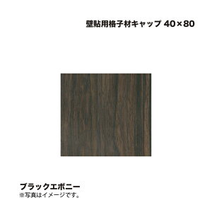 ^JV[ Ǔ\piqރLbv 40×80 ubNG{j[ 1