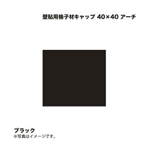 ^JV[ Ǔ\piqރLbv 40×40 A[` ubN 1