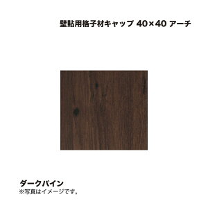 ^JV[ Ǔ\piqރLbv 40×40 A[` _[NpC 1