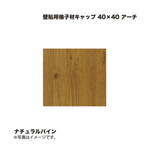 ^JV[ Ǔ\piqރLbv 40×40 A[` i`pC 1