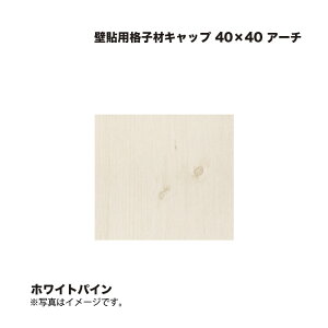 ^JV[ Ǔ\piqރLbv 40×40 A[` zCgpC 1