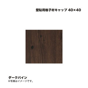 ^JV[ Ǔ\piqރLbv 40×40 _[NpC 1