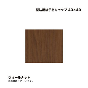 ^JV[ Ǔ\piqރLbv 40×40 EH[ibg 1
