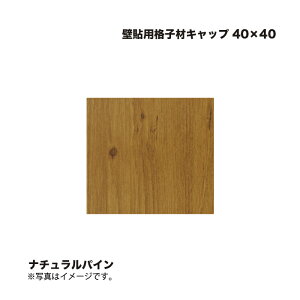 ^JV[ Ǔ\piqރLbv 40×40 i`pC 1