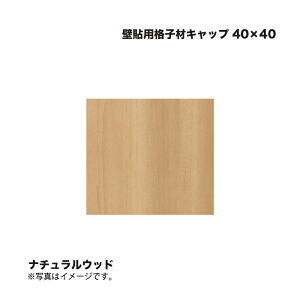 ^JV[ Ǔ\piqރLbv 40×40 i`Ebh 1