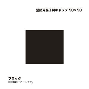 ^JV[ Ǔ\piqރLbv 50×50 ubN 1