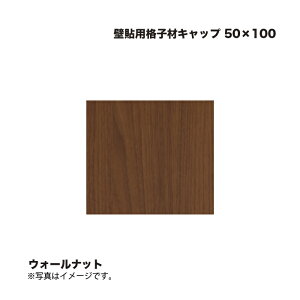 ^JV[ Ǔ\piqރLbv 50×100 EH[ibg 1