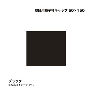 ^JV[ Ǔ\piqރLbv 50×150 ubN 1
