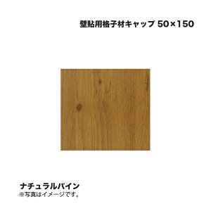 ^JV[ Ǔ\piqރLbv 50×150 i`pC 1