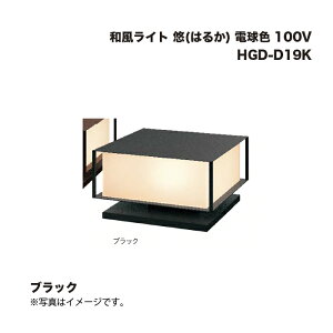 ^JV[ HGD-D19K aCg I(͂邩) dF 100V ubN 1
