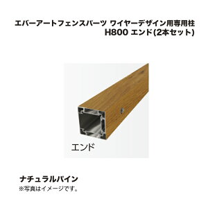 ^JV[ Go[A[gtFXp[c C[fUCpp H800 Gh(2{Zbg) i`pC 1g