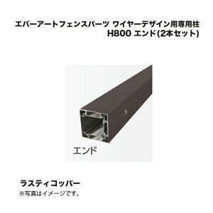 ^JV[ Go[A[gtFXp[c C[fUCpp H800 Gh(2{Zbg) XeBRbp[ 1g