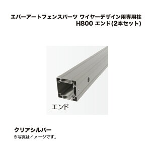 ^JV[ Go[A[gtFXp[c C[fUCpp H800 Gh(2{Zbg) NAVo[ 1g