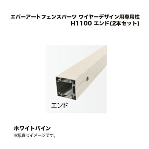 ^JV[ Go[A[gtFXp[c C[fUCpp H1100 Gh(2{Zbg) zCgpC 1g