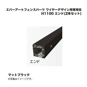 ^JV[ Go[A[gtFXp[c C[fUCpp H1100 Gh(2{Zbg) }bgubN 1g