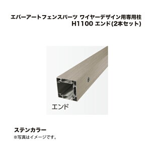 ^JV[ Go[A[gtFXp[c C[fUCpp H1100 Gh(2{Zbg) XeJ[ 1g