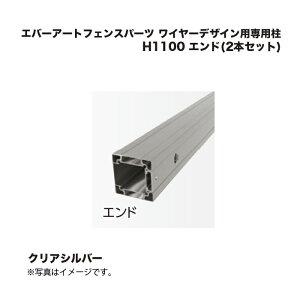 ^JV[ Go[A[gtFXp[c C[fUCpp H1100 Gh(2{Zbg) NAVo[ 1g