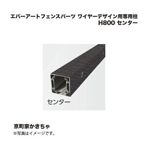 ^JV[ Go[A[gtFXp[c C[fUCpp H800 Z^[ Ƃ 1{