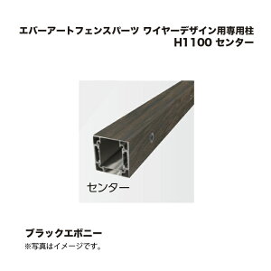 ^JV[ Go[A[gtFXp[c C[fUCpp H1100 Z^[ ubNG{j[ 1{