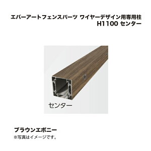 ^JV[ Go[A[gtFXp[c C[fUCpp H1100 Z^[ uEG{j[ 1{