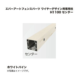 ^JV[ Go[A[gtFXp[c C[fUCpp H1100 Z^[ zCgpC 1{