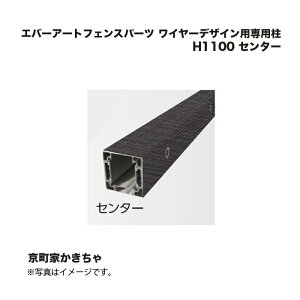 ^JV[ Go[A[gtFXp[c C[fUCpp H1100 Z^[ Ƃ 1{