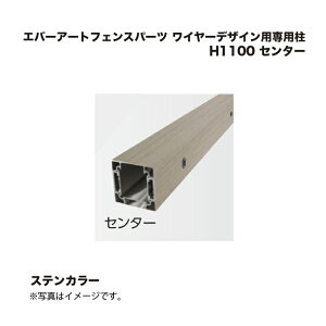 ^JV[ Go[A[gtFXp[c C[fUCpp H1100 Z^[ XeJ[ 1{